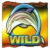ttg dolphin gold wild symbol