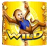 ttg more monkeys wild2 symbol