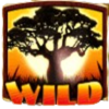 ttg silver lion wild symbol