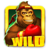 tumble in the jungle wild fight wild symbol