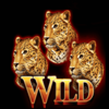 two kings of africa stickywild1 symbol