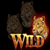 two kings of africa stickywild3 symbol