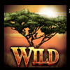 two kings of africa wild1 symbol