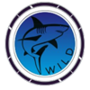under water wild symbol