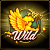valentine collection 20 lines wild symbol