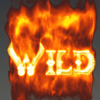 vikingdom random wild symbol