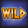 wealth of olympus hold and win wild symbol