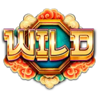 wealthy coins wild symbol