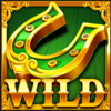 western wilds hold and win wild symbol