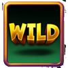 what the fruit wild 1 symbol