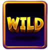 what the fruit wild 2 symbol