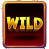 what the fruit wild 3 symbol