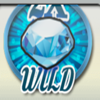 wheel of chance wild symbol