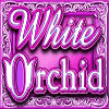 white orchid wild symbol