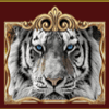 white tiger wild symbol