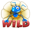 wild antics wild symbol
