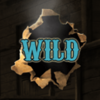 wild bandits wild3 symbol