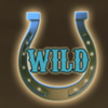 wild bandits wild symbol