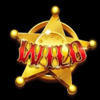wild bills bounties wild symbol