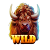 wild bison spirit hold and win wild symbol