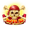 wild bounty wild symbol