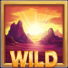 wild buffalo hold n link bonus buy wild symbol