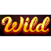 wild burning wins 5 lines wild symbols