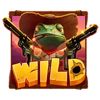 wild canyon wild symbol