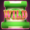 wild cash spins wild 1 symbol