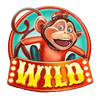 wild circus wild 2 symbol