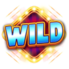 wild classic wild symbol
