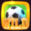 wild cup soccer wild symbol