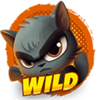 wild dojo strike wild 1 symbol