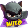 wild dojo strike wild 3 symbol