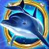 wild dolphin wild symbol