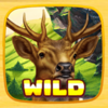 wild flow wild symbol