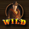 wild guns wild symbol