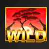 wild herd wild symbol