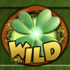 wild leprechaun wild symbol