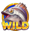 wild money bass symbol wild 1