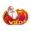 wild nords wild 2 symbol