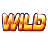 wild play wild symbol
