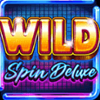 wild spin deluxe wild symbol