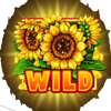 wild sunflower wild symbol
