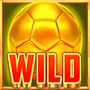 wild text