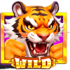 wild tiger 2 wild symbol