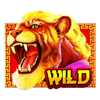 wild tiger wild symbol