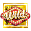 wild vaults dice wild symbol