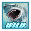 wild water powerpoints wild symbol