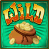 wild west chicken wild symbol